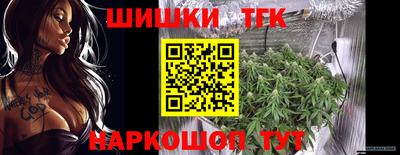 индика Абакан