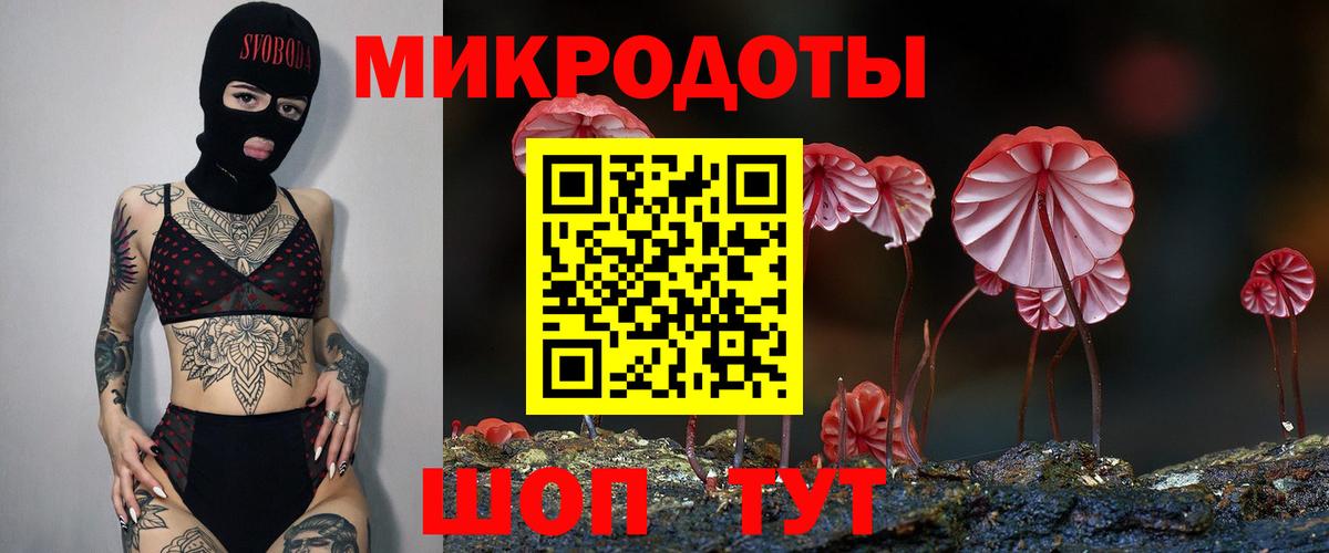 Псилоцибиновые грибы Psilocybe  Псилоцибиновые грибы Psilocybine cubensis  Новошахтинск  Вход с VPN 